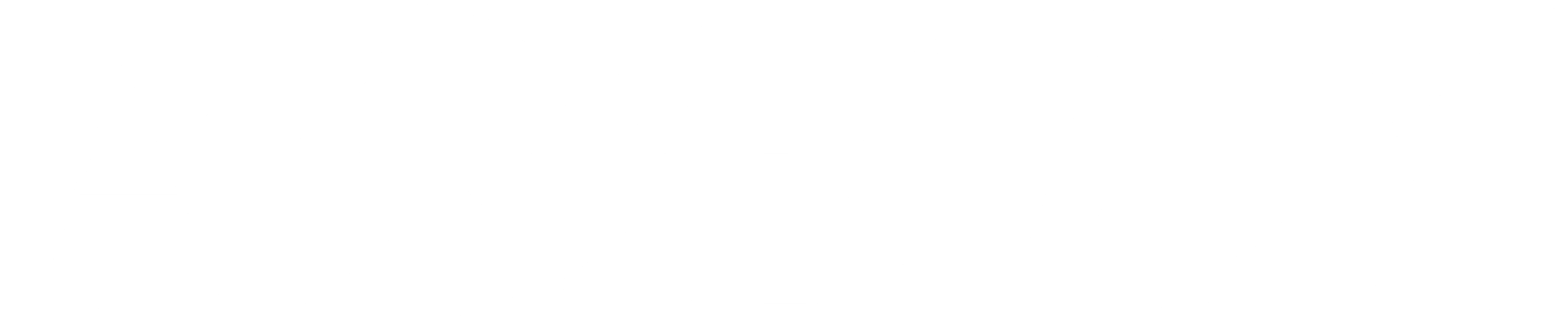 ACE IX